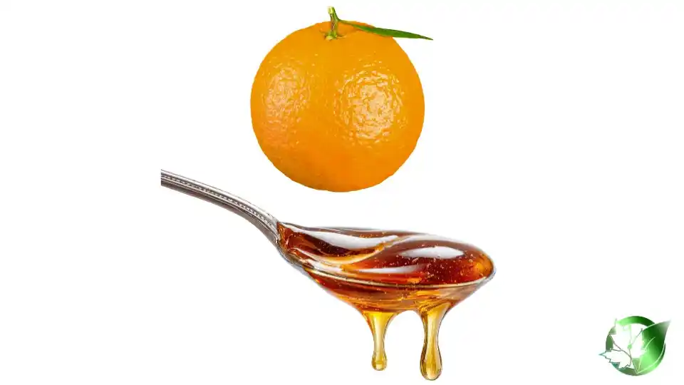 Bulk Orange Syrup | Suppliers | Wholesale | ParsaFood Global